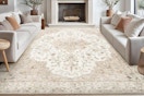 B0DQYDTL4Z 8 x 10 rug