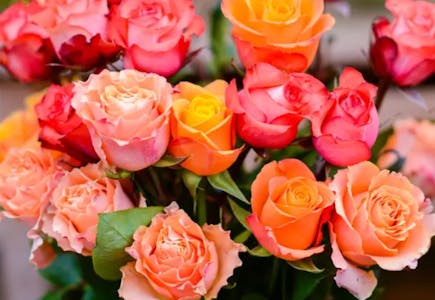 Rose Bouquets $35 Voucher