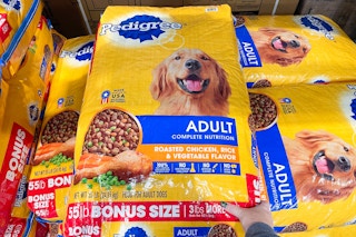 dry dog food