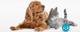 Petmate Kitty Canned Pet Food Lids