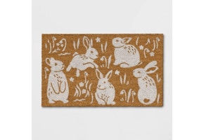 Threshold Spring Coir Doormat