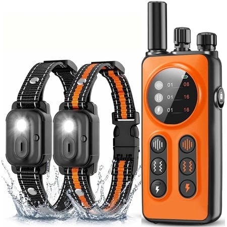 Dog Training Collar