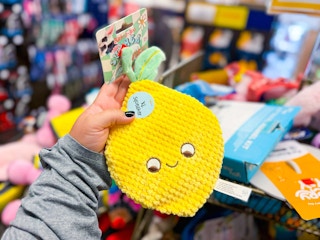 petco-bark-a-boo-sqeaker-toy