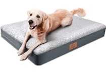 Orthopedic Dog Bed
