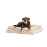 Top Paw Dog Bed