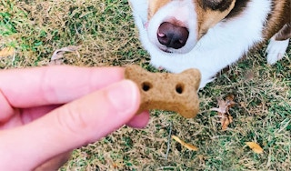 amazon dog treats 1670359315 1670359315