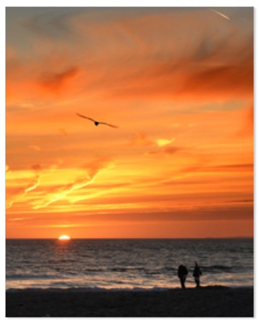 CVS Repositionable Poster 16 in x 20 in