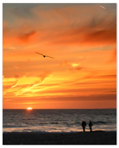 CVS 16x20 Repositionable Poster