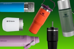 Today Only — Stanley Water Bottle Sale at Lowe's: Price Start at $12.99 card image