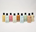 philosophy Shower Gel Collection