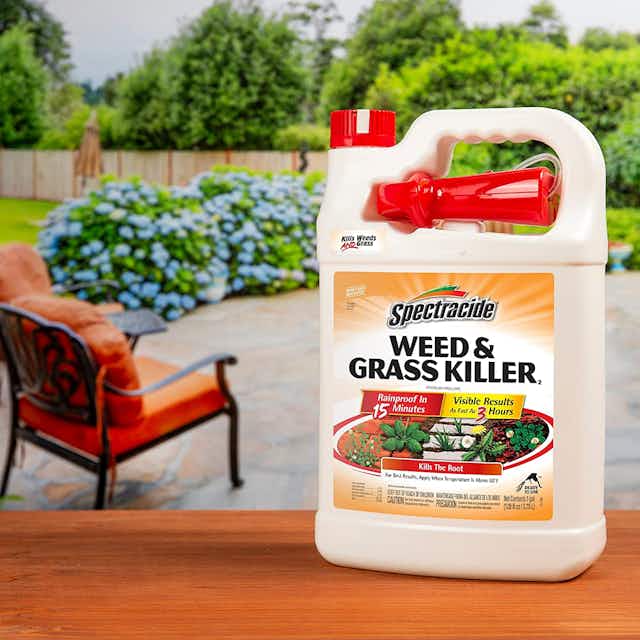 Spectracide 1-Gallon Weed + Grass Killer Refill, Only $12.50 on Amazon card image