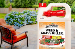 Spectracide Weed & Grass Killer, Only $6 on Amazon