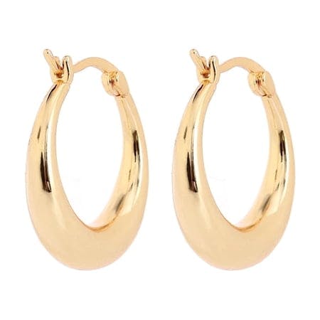 Graduated Hoop Huggie Earrings