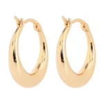 Graduated Hoop Huggie Earrings