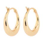 Graduated Hoop Huggie Earrings