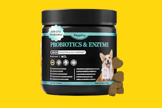tub of dog probiotic suppliements