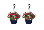 2 Annuals Hanging Baskets
