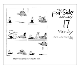 The Far Side® 2022 Off-The-Wall Calendar