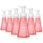 Method Foaming Hand Soap 6-Pack
