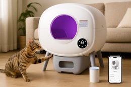 This $370 Self-Cleaning Cat Litter Box Drops to $184.99 on Amazon card image