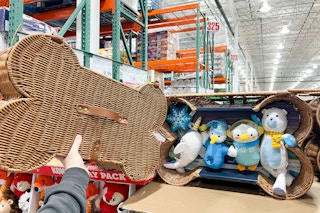 costco BuddyBuddy dog bone basket