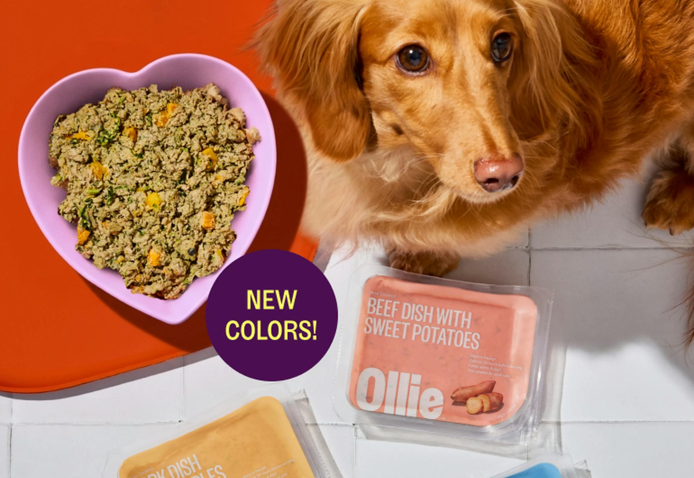 2 Weeks of Ollie Fresh Dog Food
