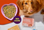 2 Weeks of Ollie Fresh Dog Food