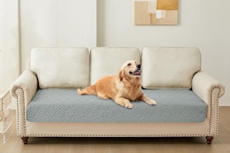 Waterproof Dog Couch Cover, Just $6.64 on Amazon (Reg. $14) card image
