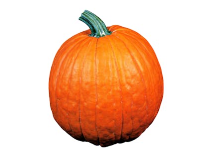 Carving Pumpkin