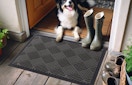 a dog at a front door of a house with a doormat 