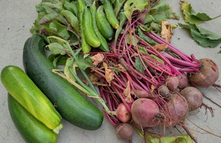 walmart-vegetable-seeds-clearance-010322h