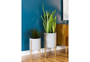 Aspire Home Nabila Planter Set
