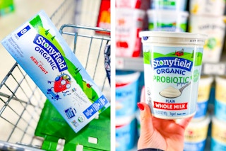 publix-stonyfield-yogurt