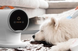 B0CGR51T3W Pet grooming Vacuum