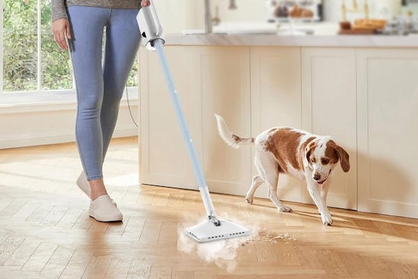 This Steam Cleaner Is Amazon's Choice — Now Just $99 (Reg. $370)