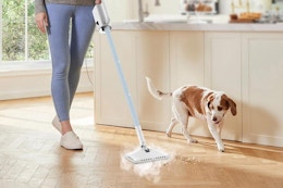 This Steam Cleaner Is Amazon's Choice — Now Just $99 (Reg. $370) card image