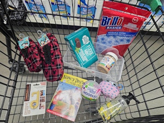 cart full of items at dollar tree