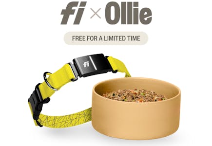 Ollie Dog Food Box + Free GPS Collar