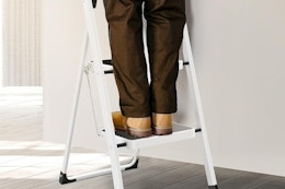 a man on a 2-step ladder