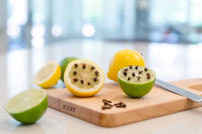 13 Best Homemade Mosquito Repellents