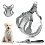 Dog Harness and Leash Combo