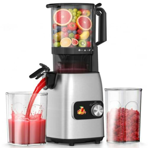 Cold Press Juicer
