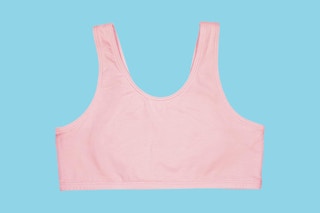 a fruit of the loom bra on a blue background