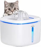 Cat Water Fountain