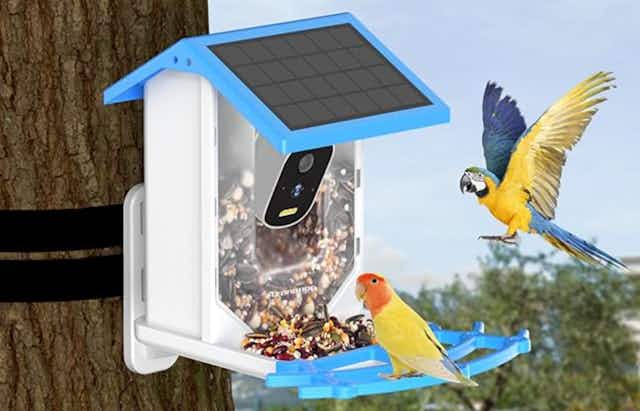 Smart Bird Feeder With 4K Camera, Only $70 on Amazon (Reg. $160) card image