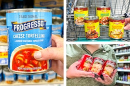 progresso campbells old el paso soups collage