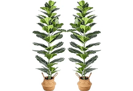 Artificial Fiddle Leaf Plant