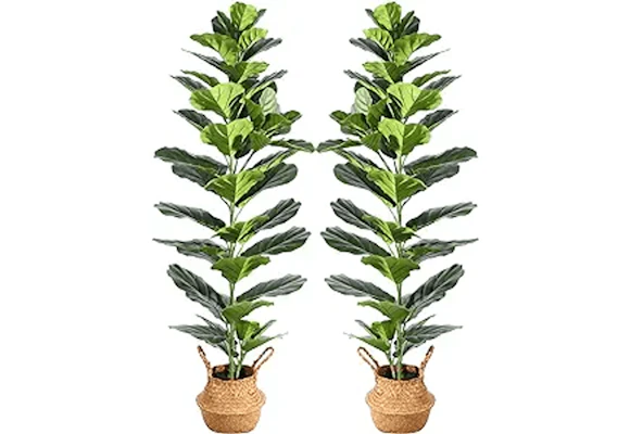 Artificial Fiddle Leaf Plant