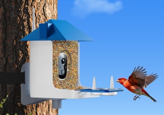 a smart bird feeder on a tree with a bird