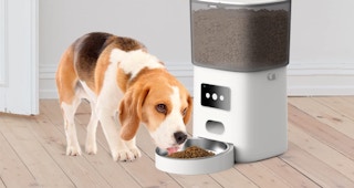 pet feeder amazon 1683047669 1683047669